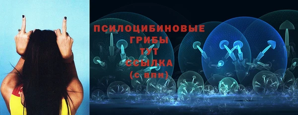 2c-b Няндома