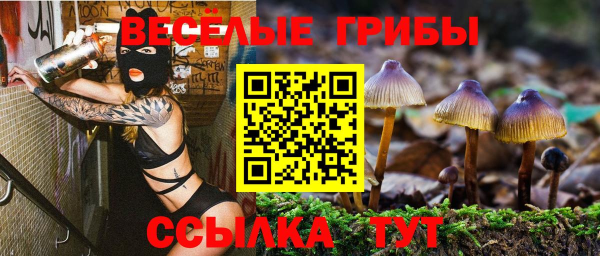 Псилоцибиновые грибы MAGIC MUSHROOMS Светлоград