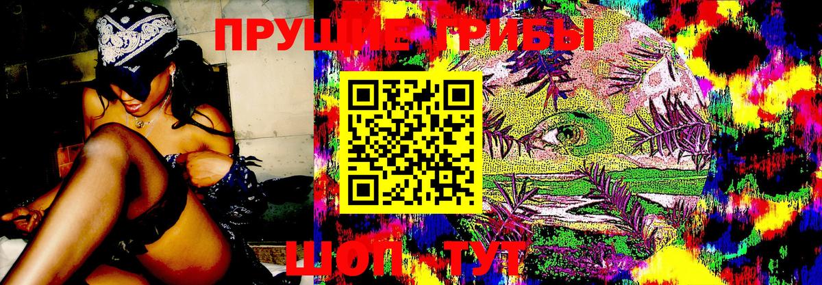 Галлюциногенные грибы Cubensis  Псилоцибиновые грибы MAGIC MUSHROOMS  Светлоград 