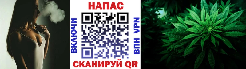 Шишки марихуана OG Kush  hydra маркетплейс  нарко площадка Telegram  Светлоград 